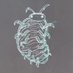 Isopodo (@isopoditoisopod) Twitter profile photo Isopodo (@isopoditoisopod) Twitter profile photo