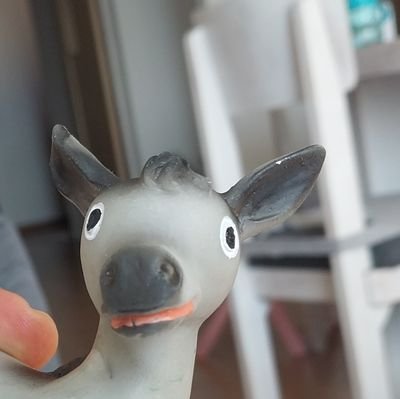 tribunanortecdc's profile picture. naa