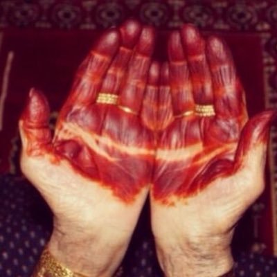 Wy1CBE1lAw39550's profile picture. صلاح أمرك للأخلاق مرجعه فقوّم النفس بالأخلاق تستقم