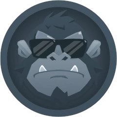 playbitkong Profile Picture