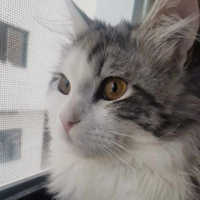 Sukar487495's profile picture. 