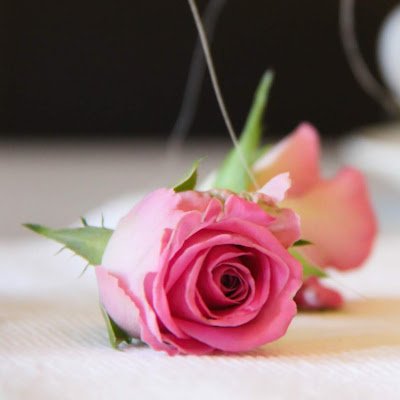 tayalaastha36's profile picture. 