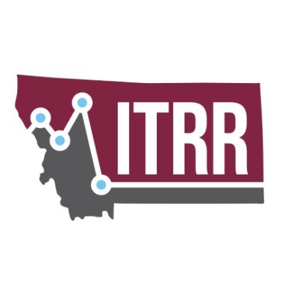 itrrumt Profile Picture