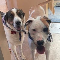 Gene_Hill76 (@gene_hill76) 's Twitter Profile Photo