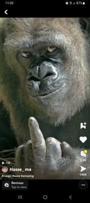 ronnie_ken70044's profile picture. 