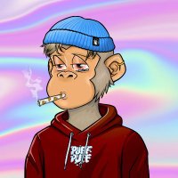 🦈 🔑 (@sharkymoeder) 's Twitter Profile Photo 🦈 🔑 (@sharkymoeder) 's Twitter Profile Photo