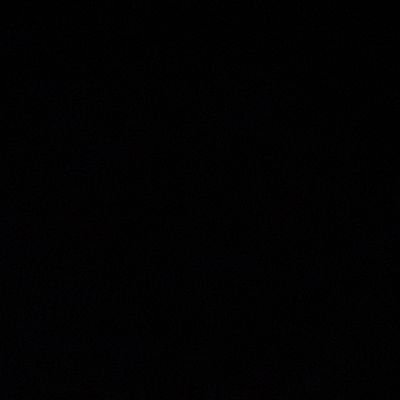 tamiisilvaa_'s profile picture. 