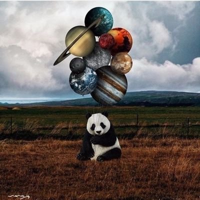 DianeYoung28948's profile picture. 