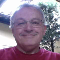 Senior Consultant to 
Travel Industry