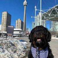 Pawmates_App (@pawmates_app) 's Twitter Profile