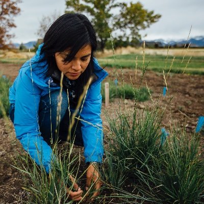 running, crosswords, and plants