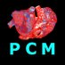 Personalised Cardiac Modelling Lab (@PCM_QMUL) Twitter profile photo