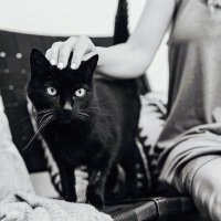 Cassandra Morrison (@cassandram22623) 's Twitter Profile