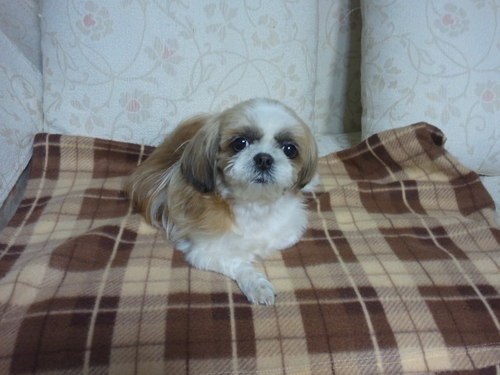 zigeum's profile picture. 지금 여기에서 잘 살아보세