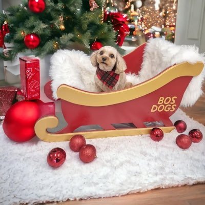 PuddyLouise's profile picture. 