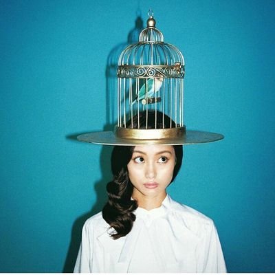 karenatumerumo's profile picture. 野原で独り言🌿
食品メ−カ−‐スポーツ新聞社‐公法人調査員✍
永遠に3匹の猫の下僕 ✨️かれん(桐島)🐈️Ｈ31.4.21:17歳10ヶ月､なつめ(雅子)🐈‍⬛R5.10.11:20歳3ヶ月､めるも(手塚治虫作品)🐈️Ｈ23.11.2:6歳4ヶ月で空に還る🐾 
株&投信✨ 年に数回の予知検証φ(..)Memo