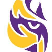 LSU Tigers on Rivals(@LSURivals) 's Twitter Profile Photo