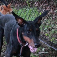 RUMI (@c655f2qboh8ygib) 's Twitter Profile