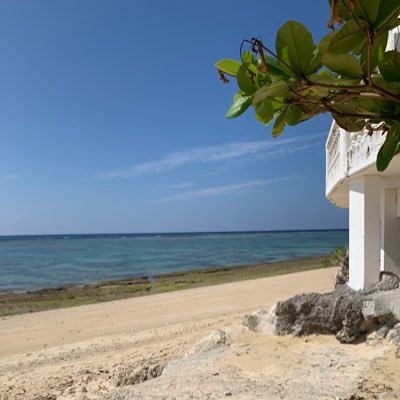 nono_nono517's profile picture. Skoop On Somebody/S.O.S. Choir 2023・2024・2025♪/ウルトラ寿司ふぁいやー（桶入り）/株主/Gospel Chronicle/Voices of Chronicles