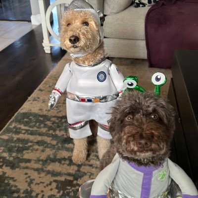 JD_Brown9's profile picture. Welcome! Everything is fine.