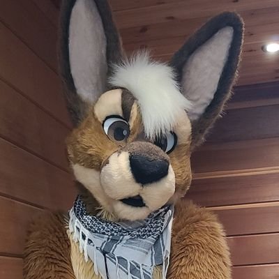 Hi I'm Piro! | 31 | Ace ☆ | Furry | Music | Board Games | Video Games | TF | Tails | Programmer | Polyglot | Pizza Connoisseur | TG: Piroshki