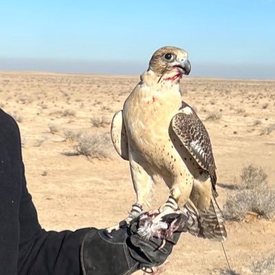 نحن بِحاجة للخلافات أحياناً لِ معرفة مايُخفيه الآخرون في قُلوبِهم ؛ قد تجد مايجعلك في ذهول وقد تجد من تبتسمُ له احتراماً ...!