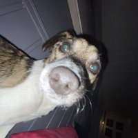 msb (@soleemxd) 's Twitter Profile