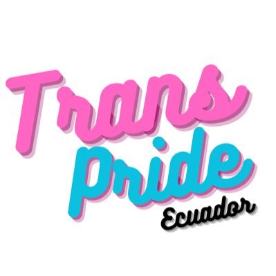 Somos una articulación que lucha por la reivindicación de los derechos trans, en el marco de la memoria trans y el 27 de noviembre día de las diversidades.