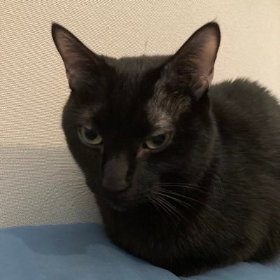 TaKAyannnnnn003's profile picture. 