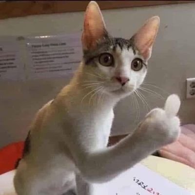 Lolinow102's profile picture. No