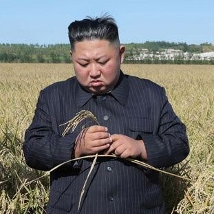 nanbei970273's profile picture. 