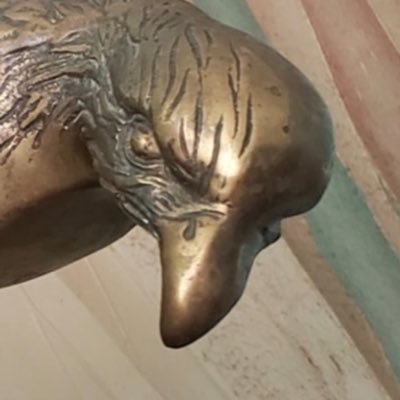 JMitchreal's profile picture. MAGA for life