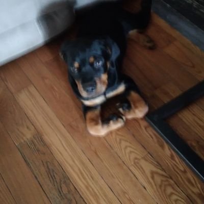 JWC's son
Avid gunnie. Angry how this once proud country is now a cesspool for hate, hunger, & homelessness.
🚫 DMs unless asked first!
#FuckCancer