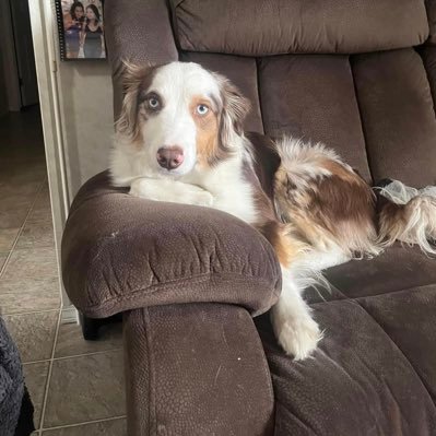 booman630's profile picture. 