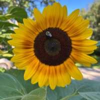 Eleanor Frank (@elliefrank2028) 's Twitter Profile