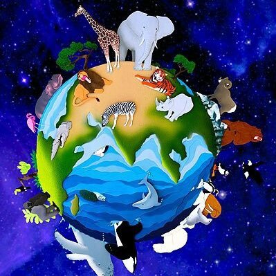 Animals Planet