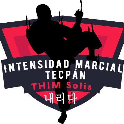 profesor de taekondo cinta negra 3er Dan. director general de intesidad marcial tecpan, afiliado a la FEDERACION MEXICANA DE DEPORTE ESCOLAR (FEMEDEES)