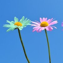 masoncastro66's profile picture. 🌿💨🤙🏼