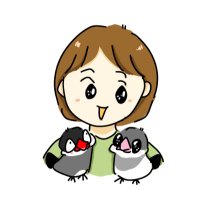 文鳥の飼い主(@kainuchi123) 's Twitter Profile Photo