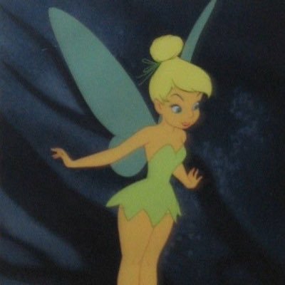 srta tinkerbell