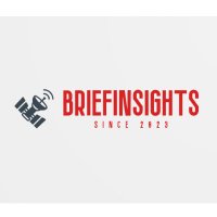 BriefInsight's(@BriefInsights) 's Twitter Profile Photo