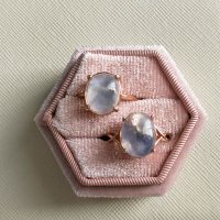 もにゃ (@monya_perl) 's Twitter Profile