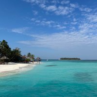 あや (@chiiporo2) Twitter profile photo