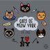 Cats of Meow York (@New_jzhsjcvdgsj) Twitter profile photo