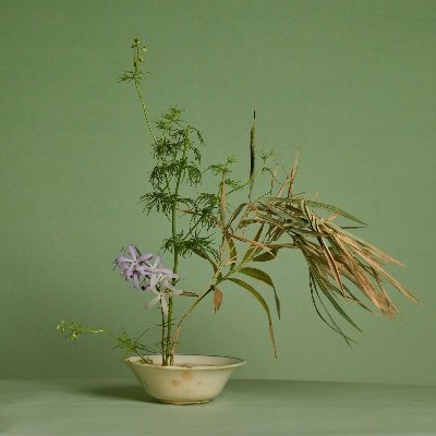 tienk268's profile picture. đi du lịch khắp nới trên thế giới