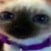 ☕\/ᐠ。ꞈ。ᐟ\/☕ (@tiorexshow) Twitter profile photo ☕\/ᐠ。ꞈ。ᐟ\/☕ (@tiorexshow) Twitter profile photo