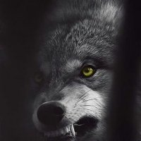 BAD:HEAD (@bad_head_01) 's Twitter Profile