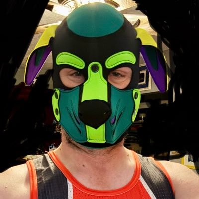 UtPup's profile picture. just a new pup trying to find where he belongs as he explores this new pup world