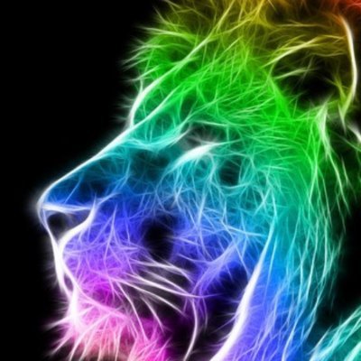 529Rashad's profile picture. 