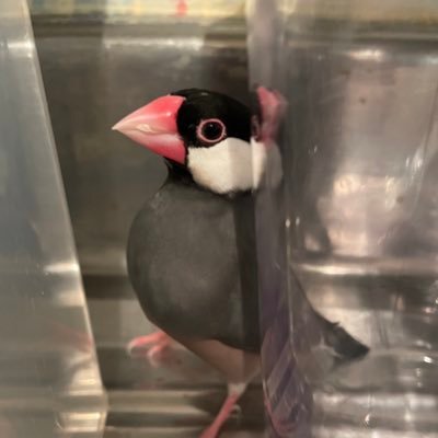 高橋秀年、【暮秋】、希少な額装用画集より、新品額装付、状態良好 賞状額 JY740 スマートさと高級感を併せ持った、スタイリッシュ